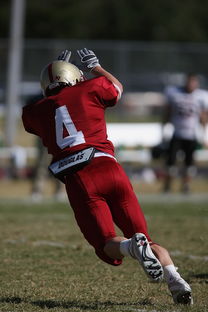 开云网页-西甲球队融合眼动追踪技术提升球员传球意识分布